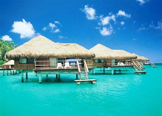 철강 구조 목재 장식 주택, 전조 벙갈로 집 키트